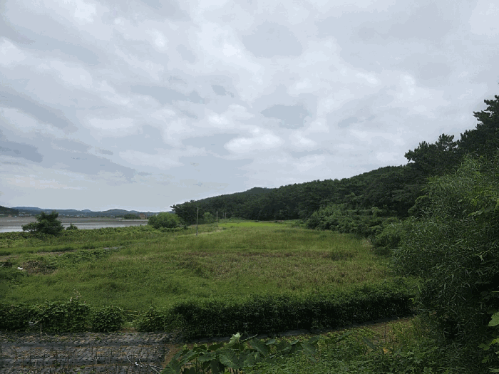 충남 태안군 근흥면 답 경매 물건 사진 4 · 2025타경51488