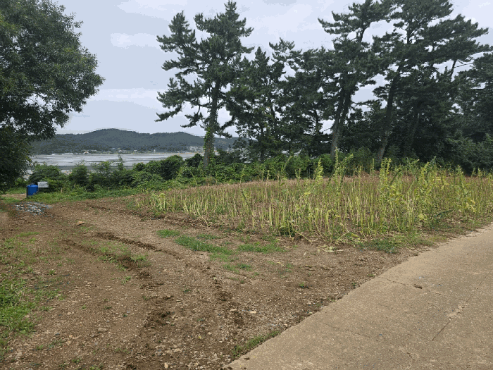 충남 태안군 근흥면 답 경매 물건 사진 5 · 2025타경51488