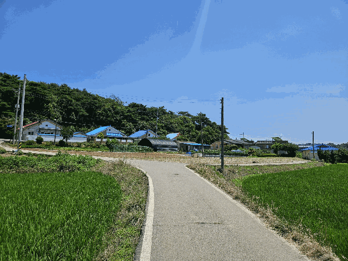 충청남도 서산시 인지면 화수리 674-4 단독주택다가구 경매 물건 사진