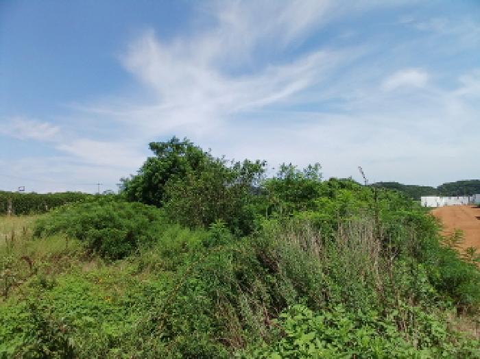 충남 당진시 석문면 전답 경매 물건 사진 3 · 2025타경51508