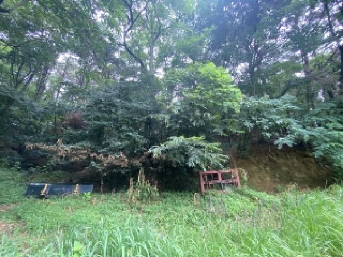 충남 당진시 대덕동 임야 경매 물건 사진