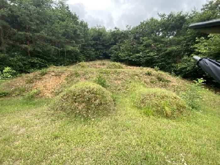 충남 당진시 대덕동 임야 경매 물건 사진 5 · 2025타경51515