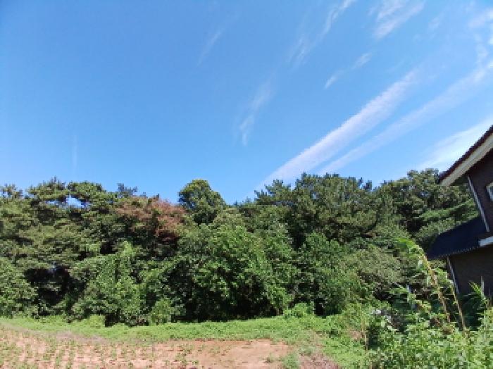 충남 서산시 지곡면 임야 경매 물건 사진 4 · 2025타경51535