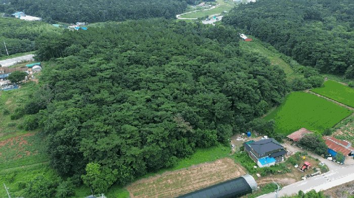 충남 서산시 지곡면 임야 경매 물건 사진 5 · 2025타경51535