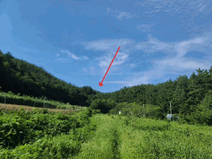 충남 태안군 이원면 임야 경매 물건 사진 3 · 2025타경51541