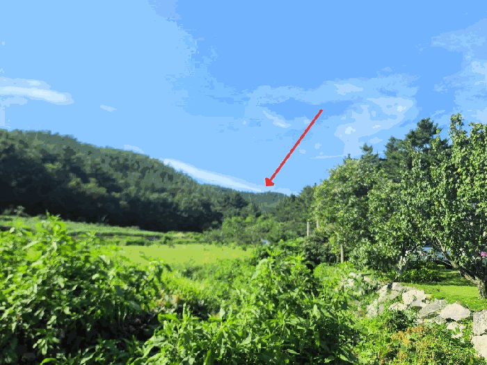 충남 태안군 이원면 임야 경매 물건 사진 4 · 2025타경51541