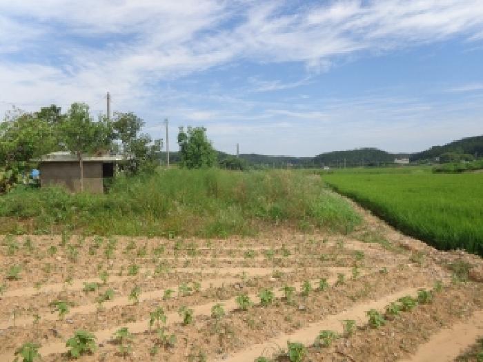 충남 태안군 안면읍 대지 경매 물건 사진 3 · 2025타경51551