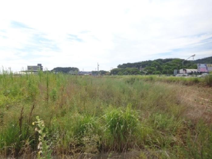 충남 태안군 안면읍 대지 경매 물건 사진 5 · 2025타경51551