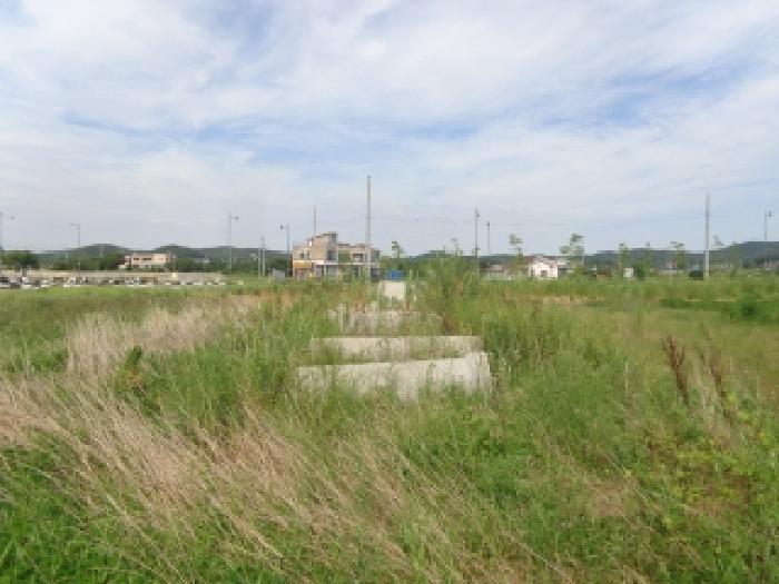 충남 태안군 안면읍 대지 경매 물건 사진 6 · 2025타경51551