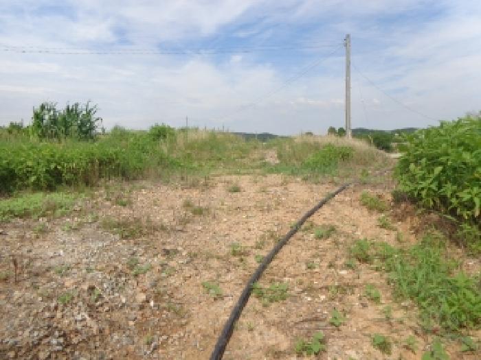충남 태안군 안면읍 대지 경매 물건 사진 2 · 2025타경51551