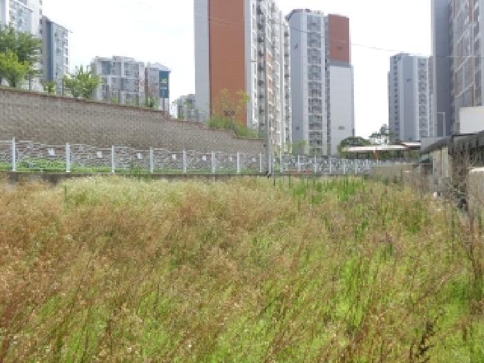 충남 태안군 태안읍 주/상용건물 경매 물건 사진 4 · 2025타경51556