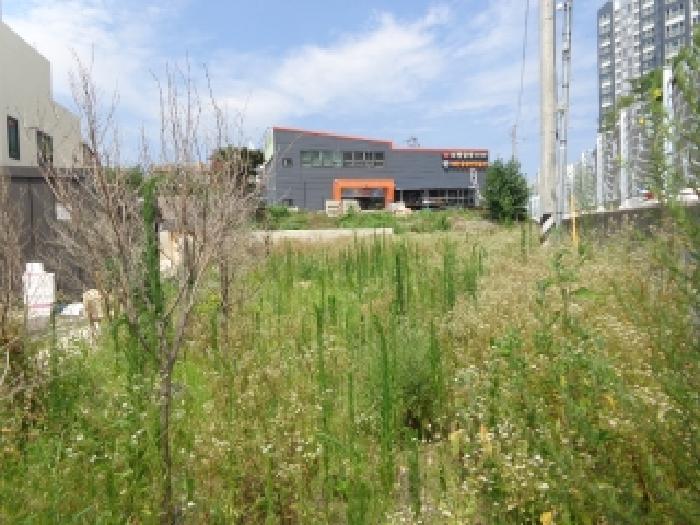 충남 태안군 태안읍 주/상용건물 경매 물건 사진 5 · 2025타경51556