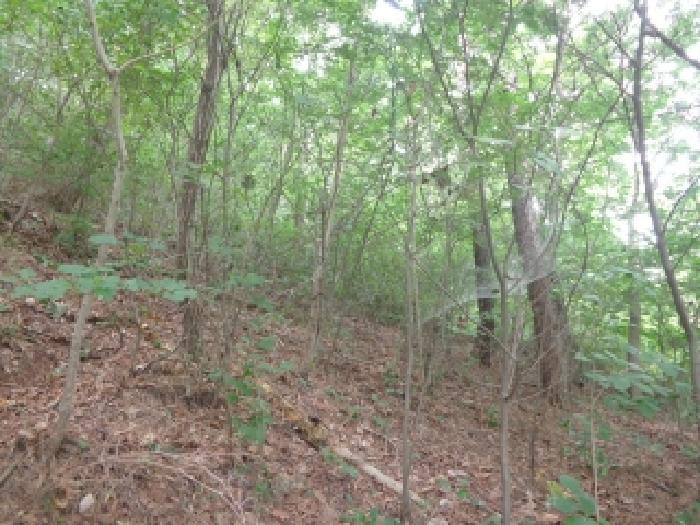충남 태안군 이원면 임야 경매 물건 사진 4 · 2025타경51559