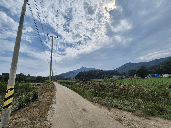 충남 서산시 대산읍 대지,임야,전답 경매 물건 사진 6 · 2025타경51563