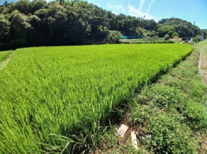 충남 서산시 지곡면 전답 경매 물건 사진 2 · 2025타경51565