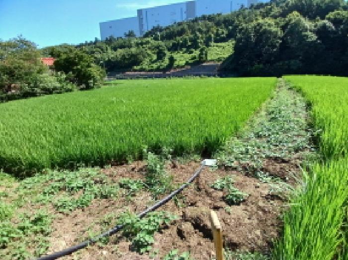 충남 서산시 지곡면 전답 경매 물건 사진 3 · 2025타경51565