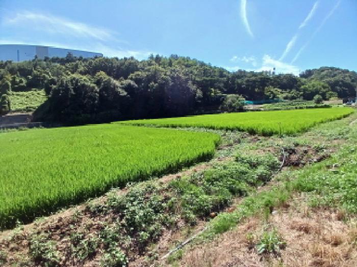 충남 서산시 지곡면 전답 경매 물건 사진 4 · 2025타경51565