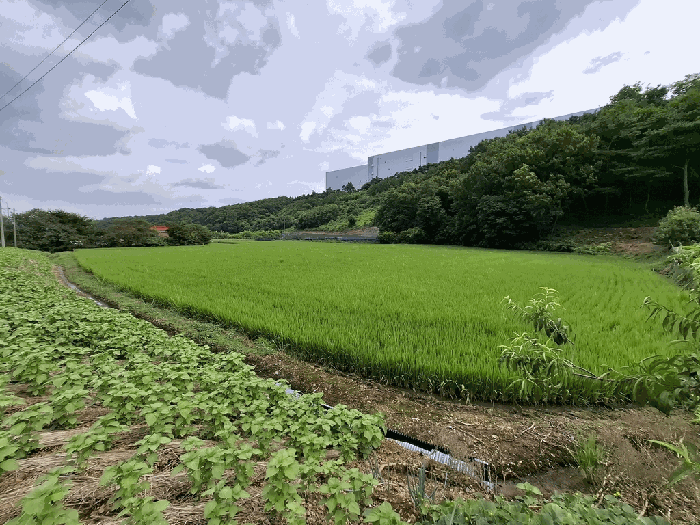 충남 서산시 지곡면 전답 경매 물건 사진 6 · 2025타경51565