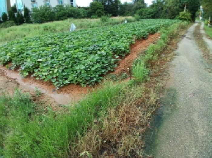 충남 당진시 석문면 답 경매 물건 사진 4 · 2025타경51575