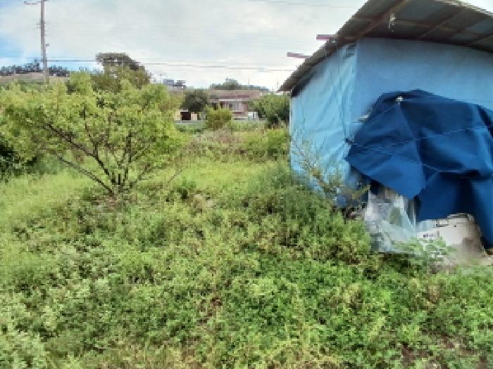 충남 당진시 석문면 답 경매 물건 사진 5 · 2025타경51575