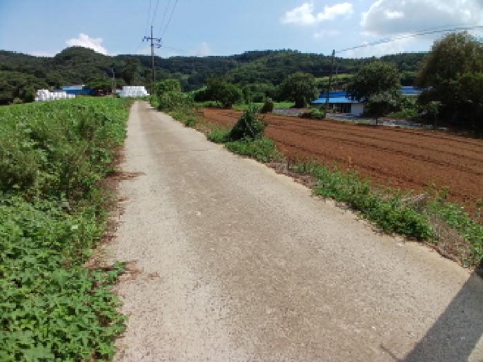 충남 당진시 대호지면 전답 경매 물건 사진 6 · 2025타경51579