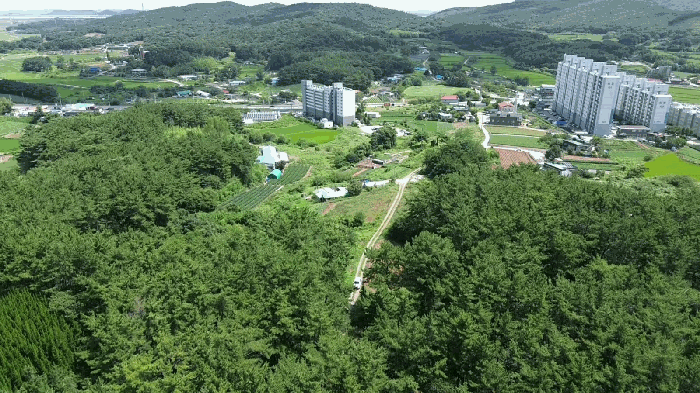 충남 서산시 대산읍 임야 경매 물건 사진 4 · 2025타경51592