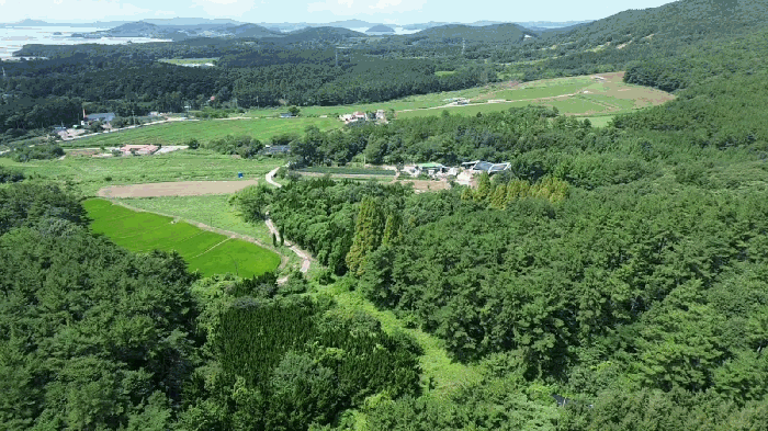 충남 서산시 대산읍 임야 경매 물건 사진 5 · 2025타경51592