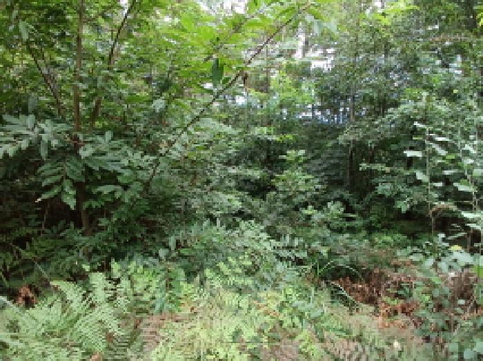 충남 서산시 대산읍 임야 경매 물건 사진 3 · 2025타경51592