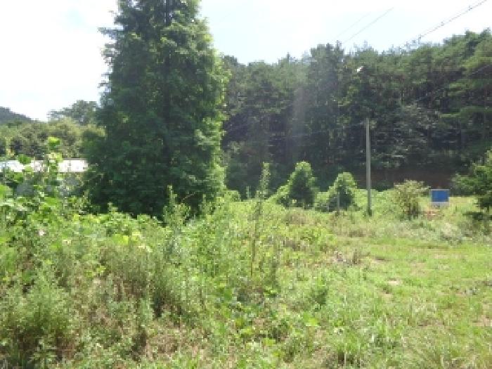 충남 서산시 팔봉면 도로 경매 물건 사진 2 · 2025타경51595