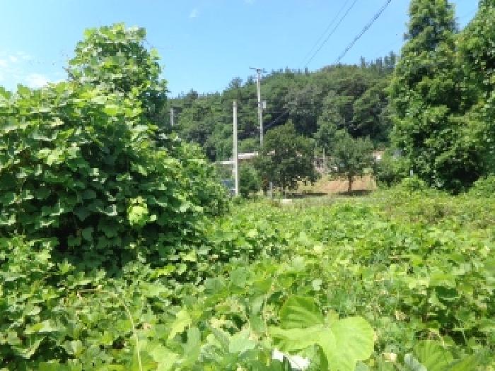 충남 서산시 팔봉면 도로 경매 물건 사진 3 · 2025타경51595