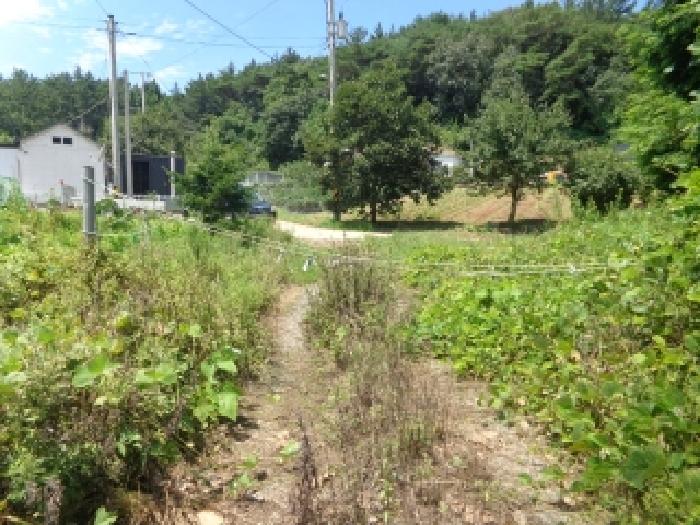 충남 서산시 팔봉면 도로 경매 물건 사진 4 · 2025타경51595