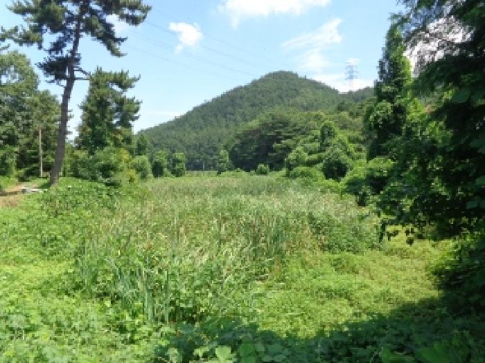 충남 서산시 팔봉면 도로 경매 물건 사진 5 · 2025타경51595