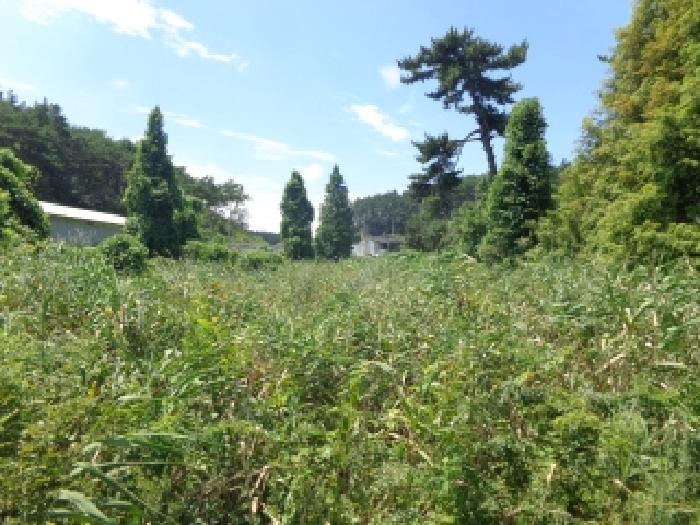 충남 서산시 팔봉면 도로 경매 물건 사진 6 · 2025타경51595