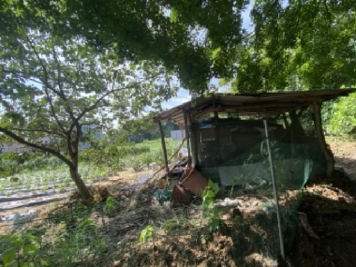 충남 당진시 송악읍 전답 경매 물건 사진 5 · 2025타경51596