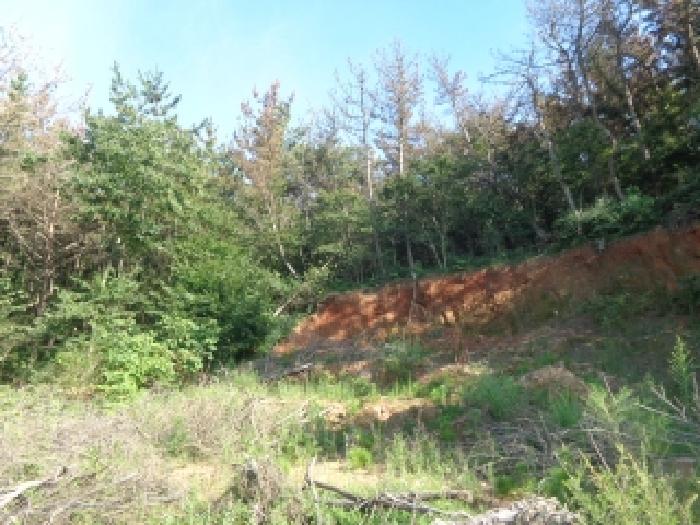 충남 태안군 남면 임야 경매 물건 사진 2 · 2025타경51602