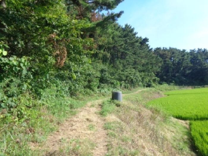 충남 태안군 남면 임야 경매 물건 사진 4 · 2025타경51602