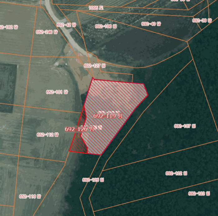 충남 태안군 남면 임야 경매 물건 사진 5 · 2025타경51602