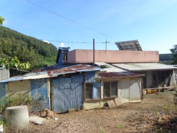 충남 태안군 안면읍 단독주택다가구 경매 물건 사진 2 · 2025타경51603