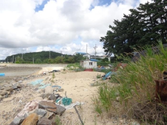 충남 태안군 소원면 임야 경매 물건 사진