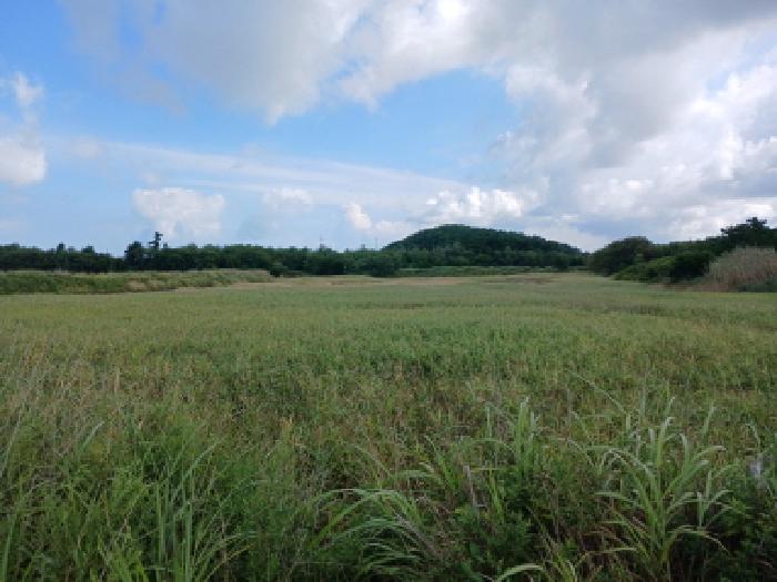 충남 서산시 대산읍 염전 경매 물건 사진