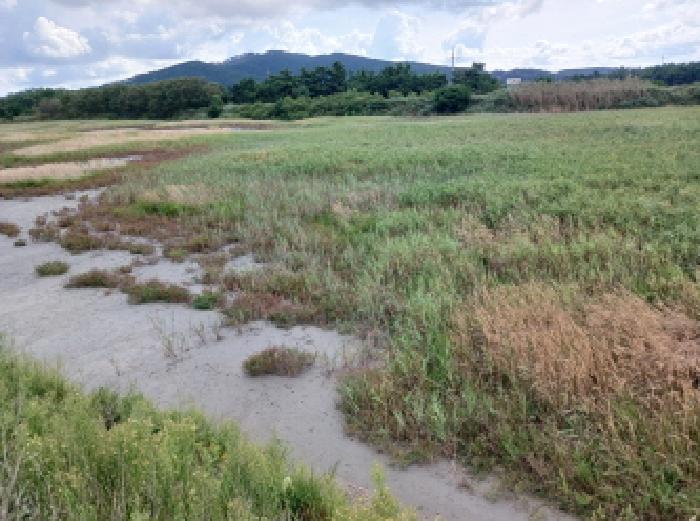 충남 서산시 대산읍 염전 경매 물건 사진 2 · 2025타경51618