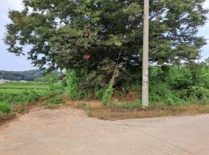 충남 당진시 순성면 전 경매 물건 사진 3 · 2025타경51619
