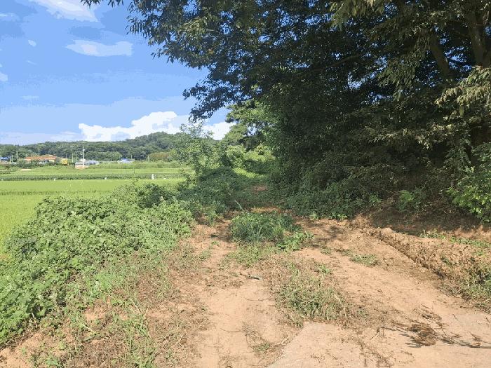 충남 당진시 순성면 전 경매 물건 사진