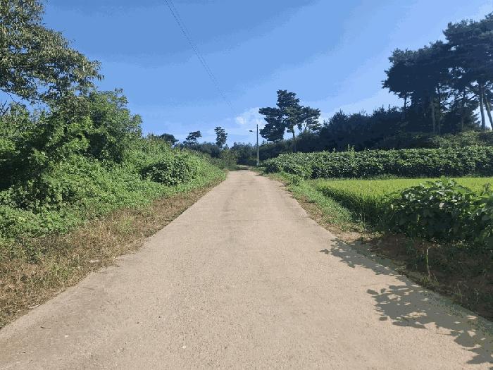 충남 당진시 순성면 전 경매 물건 사진 4 · 2025타경51619