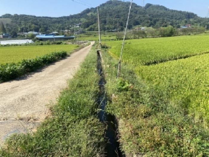 충남 당진시 면천면 전답 경매 물건 사진 3 · 2025타경51632