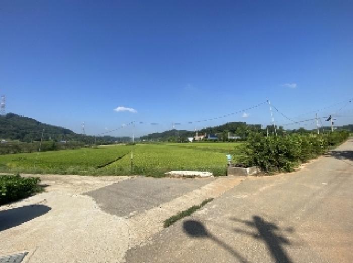 충남 당진시 면천면 전답 경매 물건 사진 4 · 2025타경51632
