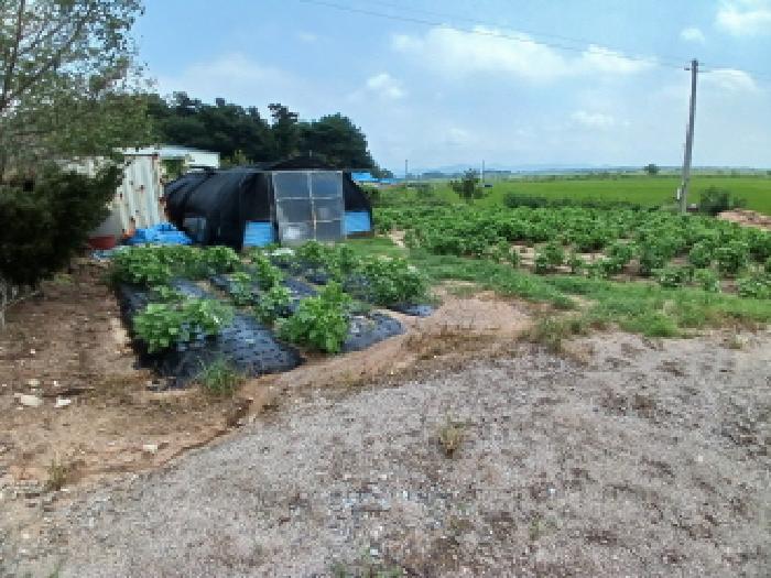 충남 서산시 양대동 대지 경매 물건 사진 6 · 2025타경51646