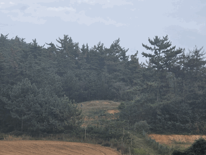 충남 태안군 태안읍 임야 경매 물건 사진 5 · 2025타경51647