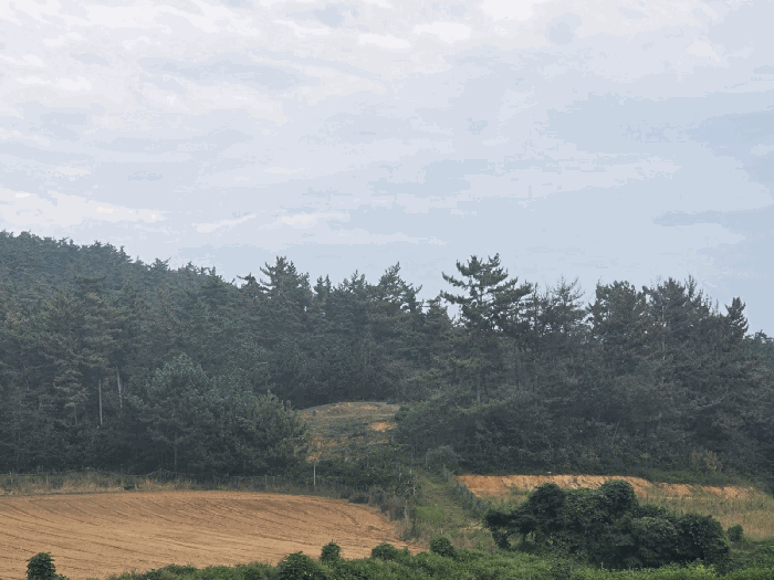 충남 태안군 태안읍 임야 경매 물건 사진 6 · 2025타경51647