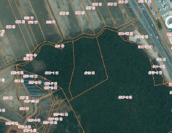 충남 태안군 남면 임야 경매 물건 사진 5 · 2025타경51650